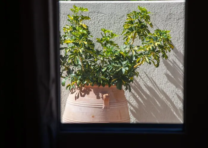 Casa Di Rene Metaxáta