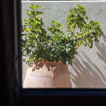 Casa Di Rene Metaxáta